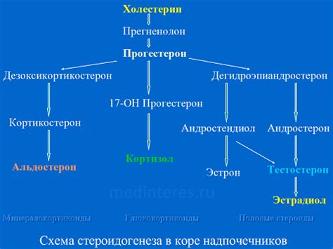 Уровень эстрогенов и прогестерона снижается