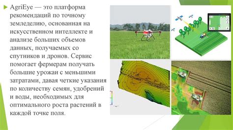 Урожайные потери: проблема для земледельцев