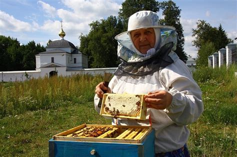 Урожай меда: техника и сроки сбора