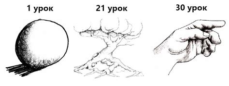 Уроки рисования карандашом для детей с пошаговыми инструкциями