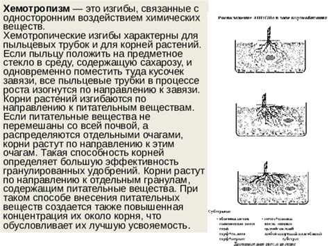 Усиление доступа растений к нужным питательным веществам