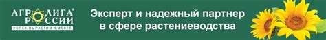 Усиление оморочки: техники и способы