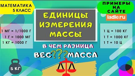 Ускорение процесса измерения массы ДНК