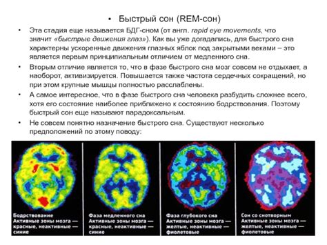 Ускоренные движения глаз во время сна