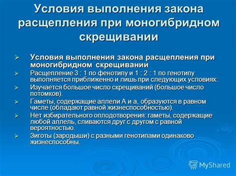 Условия выполнения обратносвязывания