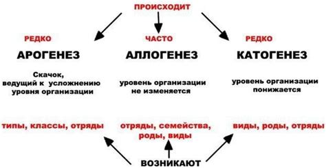 Условия преобразования организации