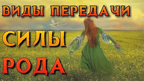 Успенка Упрощенка – уникальная система передачи силы