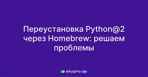 Установите Python через Homebrew