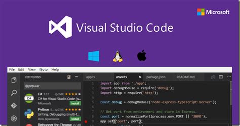 Установите Visual Studio Code