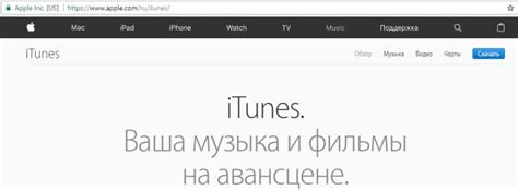 Установка и запуск iTunes для связи с iPhone 11