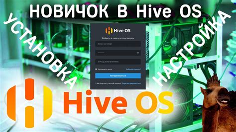 Установка и настройка HiveOS