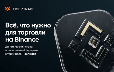 Установка и настройка Tiger Trade