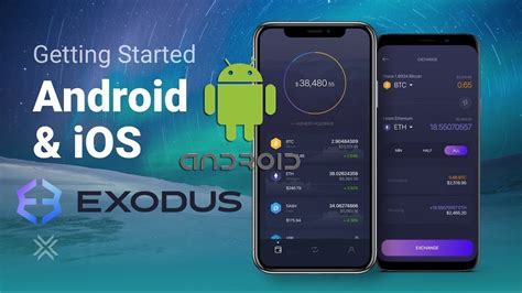 Установка кошелька Exodus