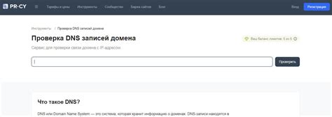 Установка приложений для проверки DNS