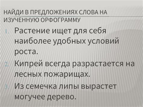 Установка удобных условий для роста