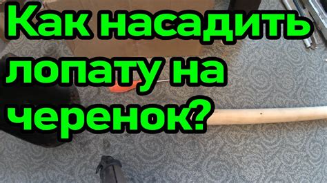 Установка черенка на лопату