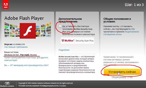 Установка Adobe Flash Player на компьютер