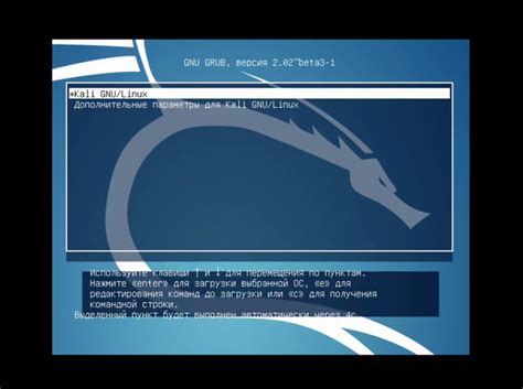 Установка Kali Linux на компьютер