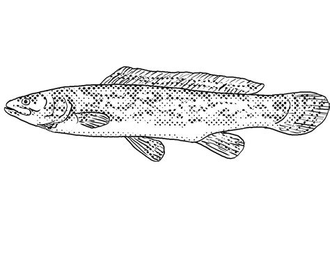 Установка Mudfish