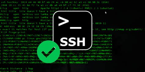 Установка SSH-ключа на сервер