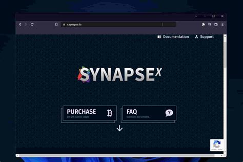 Установка Synapse x Roblox