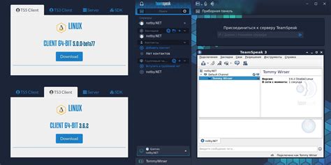 Установка TeamSpeak 3