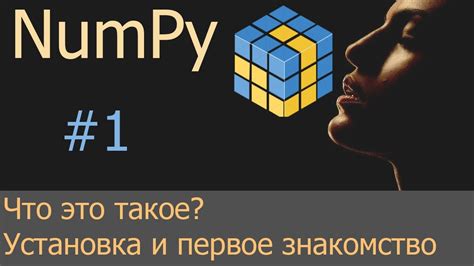 Установка numpy