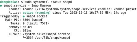 Установка snap в Debian