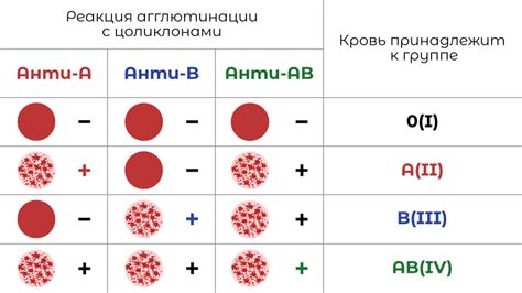 Установление группы крови методом проб и ошибок: