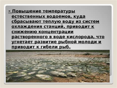 Устранение естественных водоемов