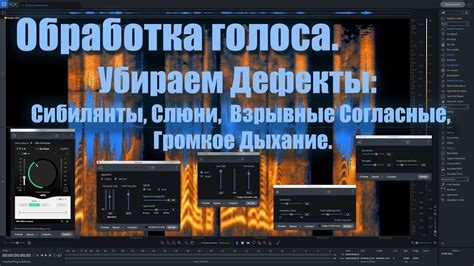 Устранение недостатков и обработка голоса