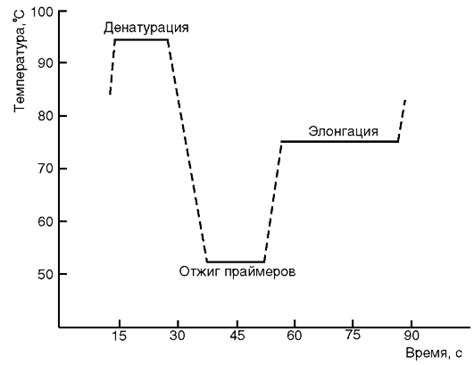 Устройство ПЦР амплификатора