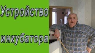 Устройство и принцип работы домашнего инкубатора для муравьев