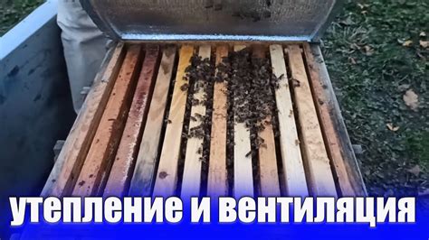 Утепление улья: основные методы