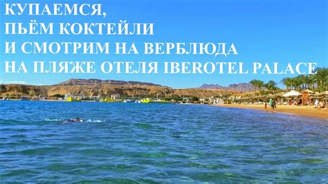 Утонуть в Красном море невозможно: