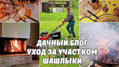 Уход за дачным участком