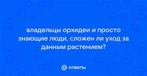 Уход за растением во время роста