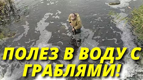 Уход за сачком