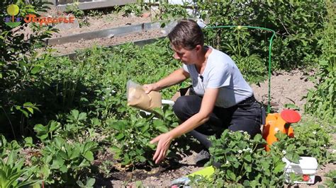 Уход за уличным горшком: полезные советы и рекомендации