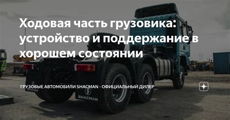 Уход и поддержание фъертиса в хорошем состоянии