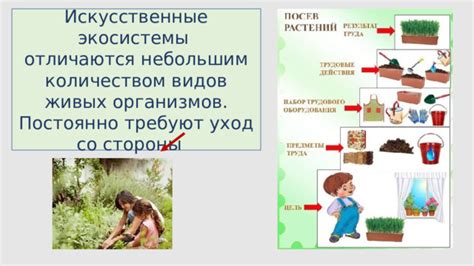 Уход и поддержание экосистемы: ключевые аспекты