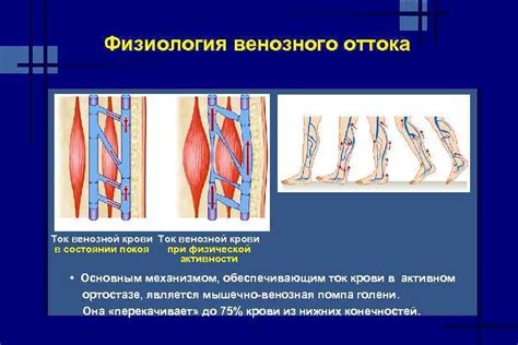 Ухудшение кровообращения и венозного оттока