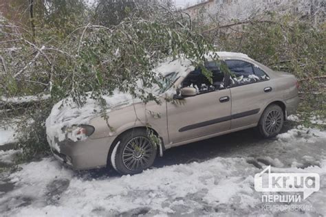 Ухудшение погодных условий влияет на коз