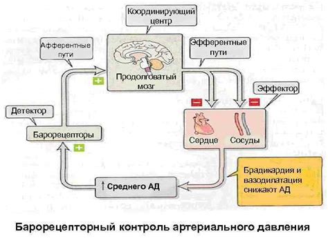 Ухудшение регуляции давления