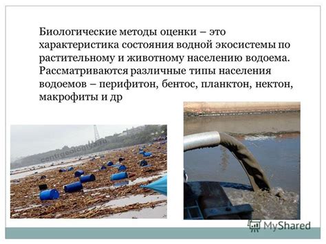 Ухудшение состояния водоемов и нарушение экосистемы