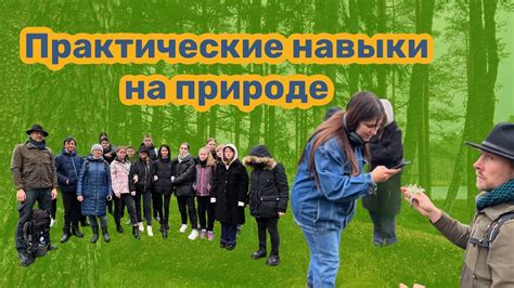 Учебная программа и навыки