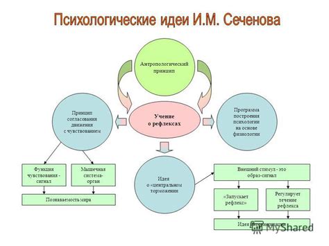 Учение о рефлексах объясняет кружение головы