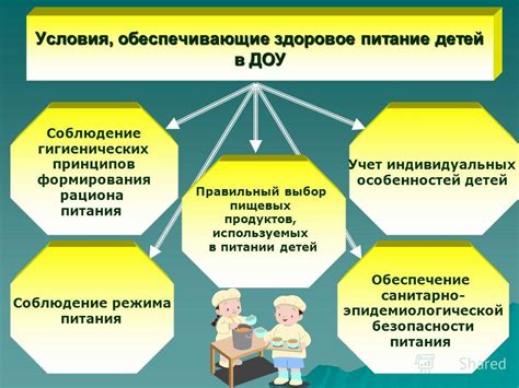 Учет индивидуальных особенностей при составлении рациона питания