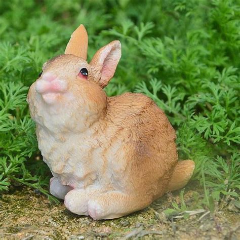 Учитывайте характер и внешний вид кролика