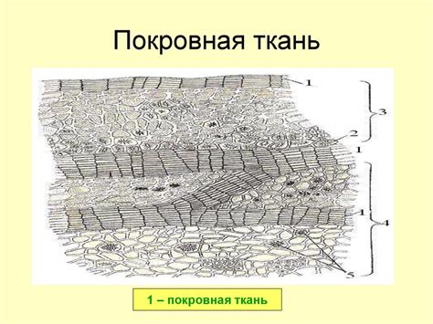 Учтите свой рост и анатомические особенности